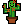 Flowering Cactuson